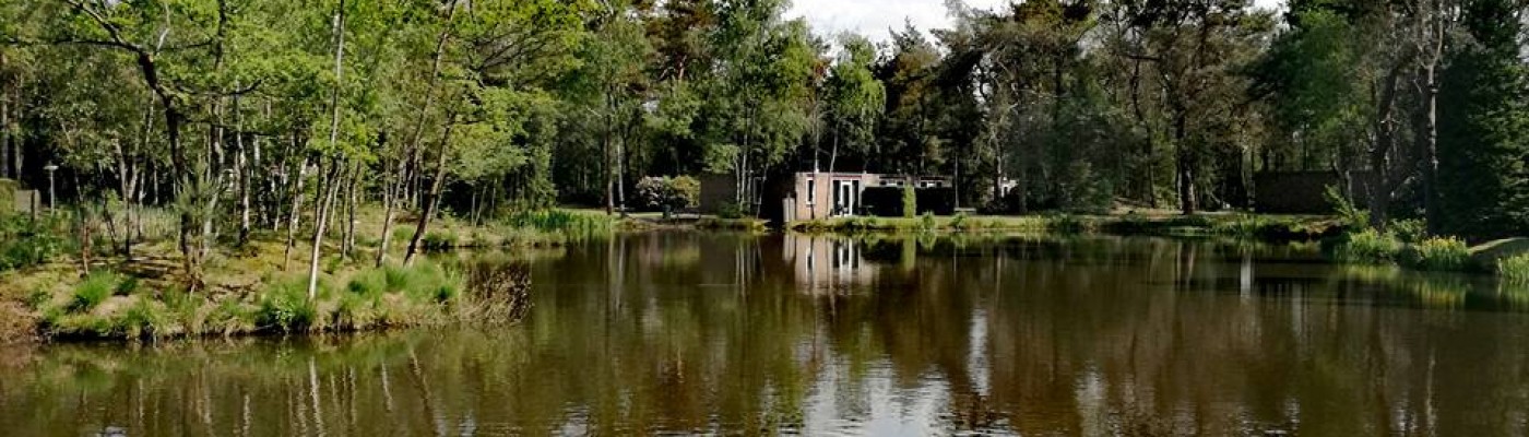 foto bungalow 4.jpg