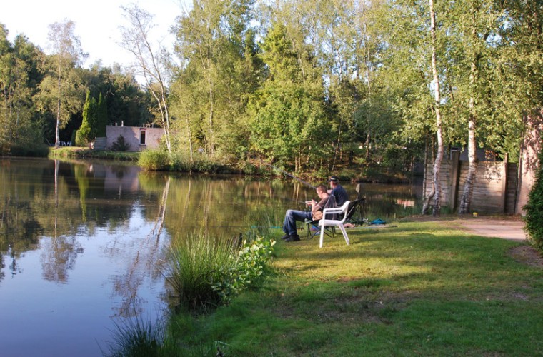 visvijver vissen.jpg