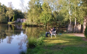 visvijver vissen.jpg