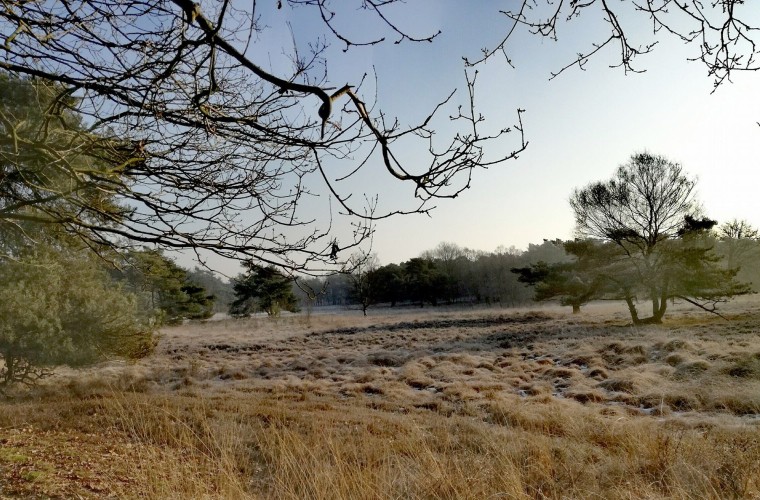 omgeving adelhof.jpg