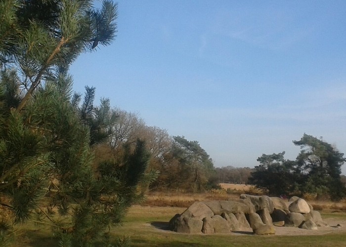 20131121_124525-1.jpg