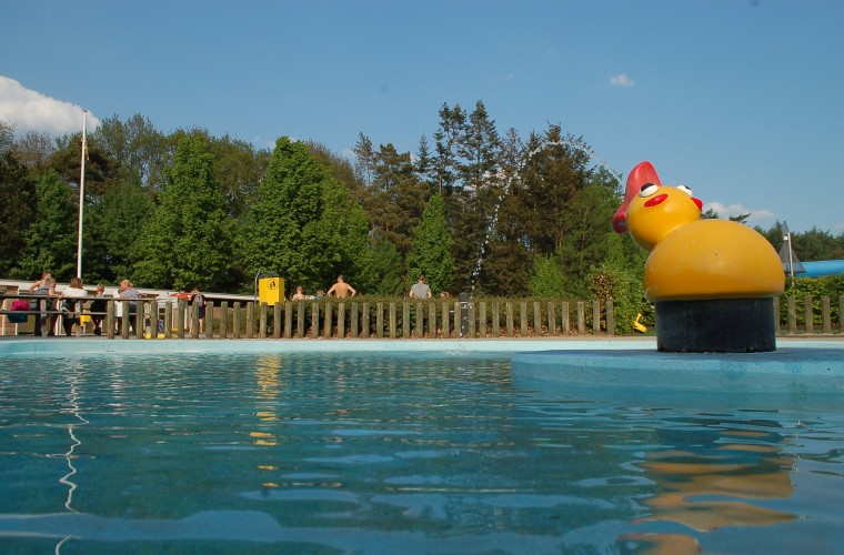 bosbad vledder 1.jpg